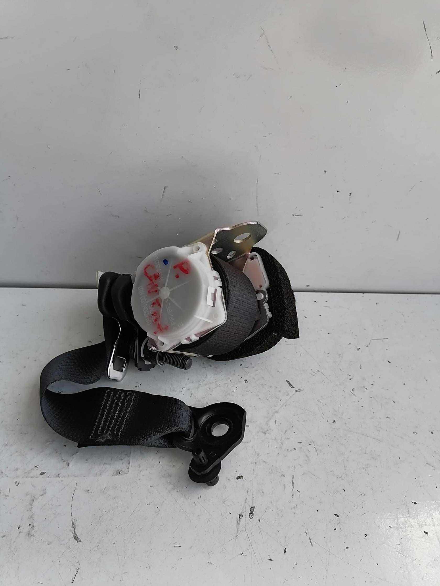 Cintura di sicurezza post. sx.